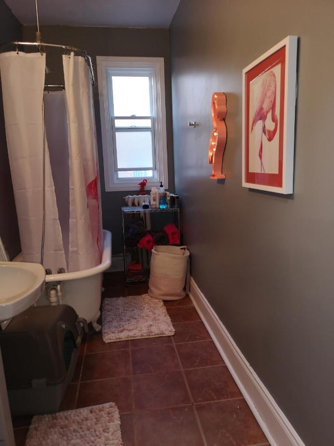 Room With King Bed In Shared 3 Bedroom Downtown Montreal Bagian luar foto